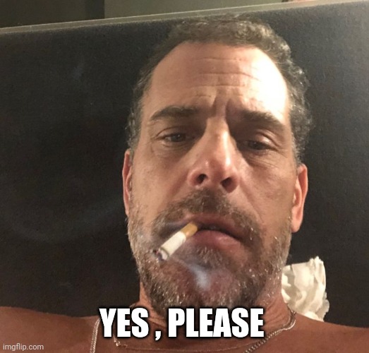 Hunter Biden | YES , PLEASE | image tagged in hunter biden | made w/ Imgflip meme maker