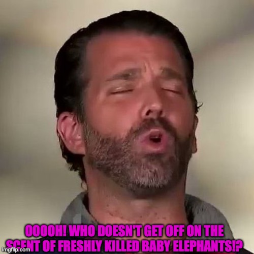 Donald Trump Jr., Don Jr., Cocaine | OOOOH! WHO DOESN'T GET OFF ON THE SCENT OF FRESHLY KILLED BABY ELEPHANTS!? | image tagged in donald trump jr don jr cocaine | made w/ Imgflip meme maker