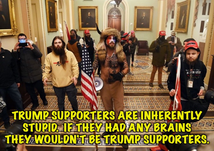 Trump supporters | TRUMP SUPPORTERS ARE INHERENTLY STUPID.  IF THEY HAD ANY BRAINS THEY WOULDN'T BE TRUMP SUPPORTERS. | image tagged in capitol buffalo guy | made w/ Imgflip meme maker