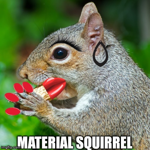 Expert Photoshop. New template | image tagged in material squirrel | made w/ Imgflip meme maker