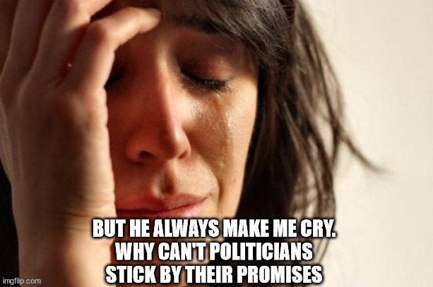 First World Problems Meme | BUT HE ALWAYS MAKE ME CRY.
WHY CAN'T POLITICIANS STICK BY THEIR PROMISES | image tagged in memes,first world problems | made w/ Imgflip meme maker