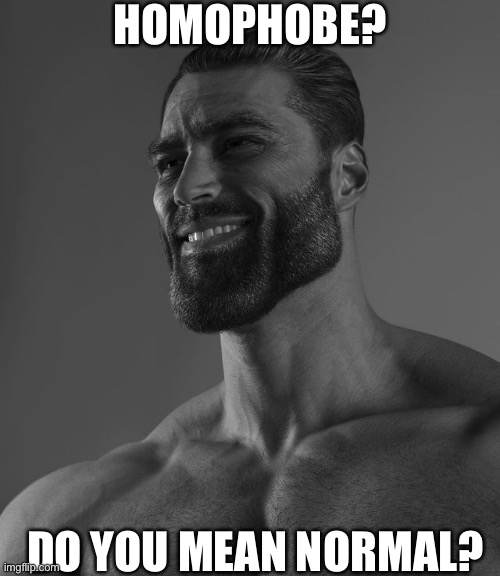 Giga Chad | HOMOPHOBE? DO YOU MEAN NORMAL? | image tagged in giga chad | made w/ Imgflip meme maker