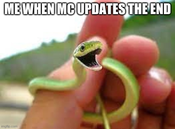 Happy snek | ME WHEN MC UPDATES THE END | image tagged in happy snek | made w/ Imgflip meme maker