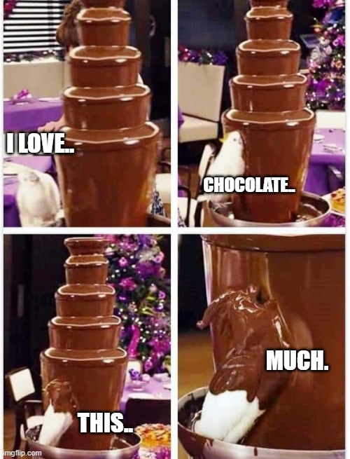 my sweet dark mistress | I LOVE.. CHOCOLATE.. MUCH. THIS.. | image tagged in chocolate,lovers,united,funny memes,silly,truth | made w/ Imgflip meme maker