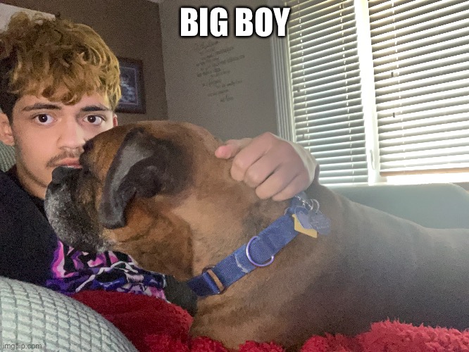 BIG BOY | image tagged in and everybody loses their minds | made w/ Imgflip meme maker