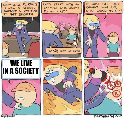 Flirting class | WE LIVE IN A SOCIETY | image tagged in flirting class | made w/ Imgflip meme maker