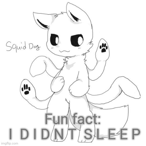 Squid dog | Fun fact:
 I  D I D N T  S L E E P | image tagged in squid dog | made w/ Imgflip meme maker