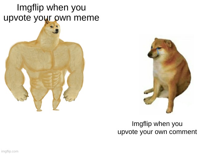 haha why | Imgflip when you upvote your own meme; Imgflip when you upvote your own comment | image tagged in memes,buff doge vs cheems,imgflip,upvote | made w/ Imgflip meme maker