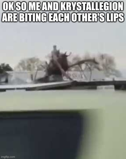 IS THAT A MAN RIDING A SHRIMP | OK SO ME AND KRYSTALLEGION ARE BITING EACH OTHER'S LIPS | image tagged in is that a man riding a shrimp | made w/ Imgflip meme maker