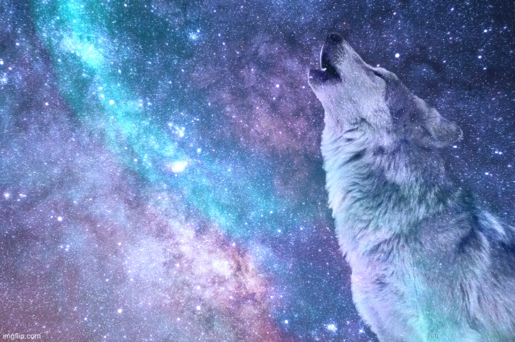 Space wolf howling | image tagged in memes,space,wolf,stars,awesome,picture | made w/ Imgflip meme maker