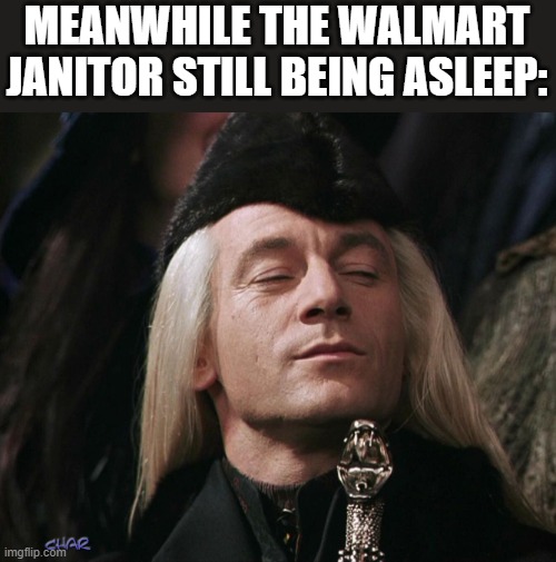 Lucius Malfoy | MEANWHILE THE WALMART JANITOR STILL BEING ASLEEP: | image tagged in lucius malfoy | made w/ Imgflip meme maker