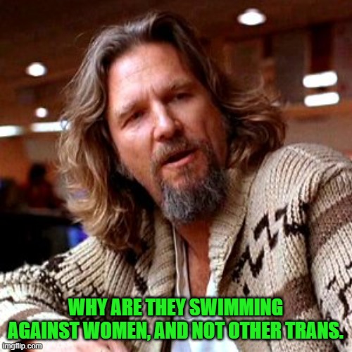Confused Lebowski Meme | WHY ARE THEY SWIMMING AGAINST WOMEN, AND NOT OTHER TRANS. | image tagged in memes,confused lebowski | made w/ Imgflip meme maker