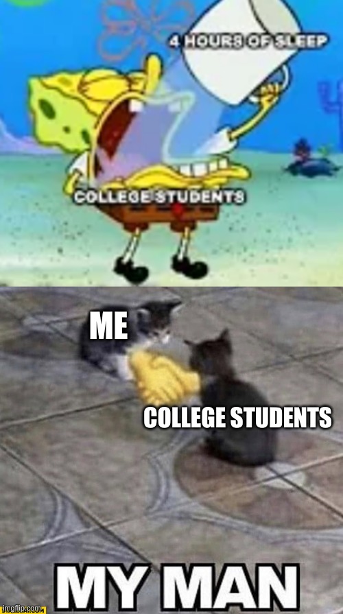 ME; COLLEGE STUDENTS | image tagged in cats shaking hands | made w/ Imgflip meme maker