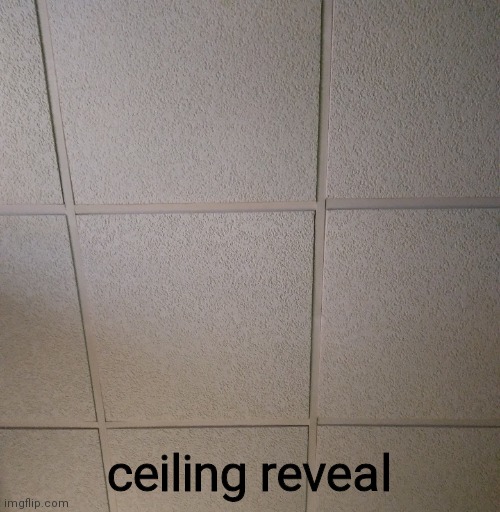 ceiling reveal | ceiling reveal | made w/ Imgflip meme maker