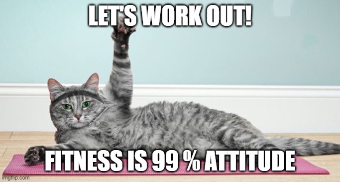 Exercise cat | LET'S WORK OUT! FITNESS IS 99 % ATTITUDE | image tagged in exercise cat | made w/ Imgflip meme maker