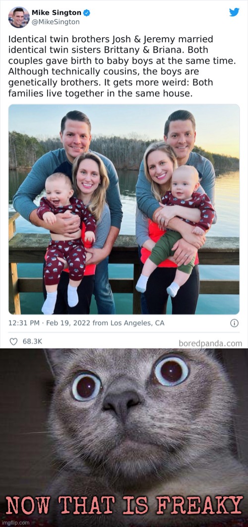 Yeah they can do what they want but that is creepy | NOW THAT IS FREAKY | image tagged in identical twins,freaky,funny memes | made w/ Imgflip meme maker
