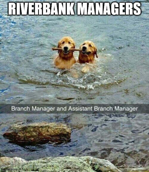 My Addition | RIVERBANK MANAGERS | image tagged in doggos,bank | made w/ Imgflip meme maker