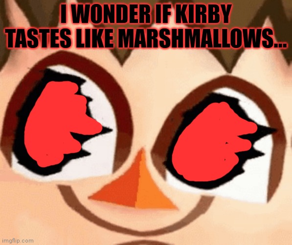 I WONDER IF KIRBY TASTES LIKE MARSHMALLOWS... | made w/ Imgflip meme maker