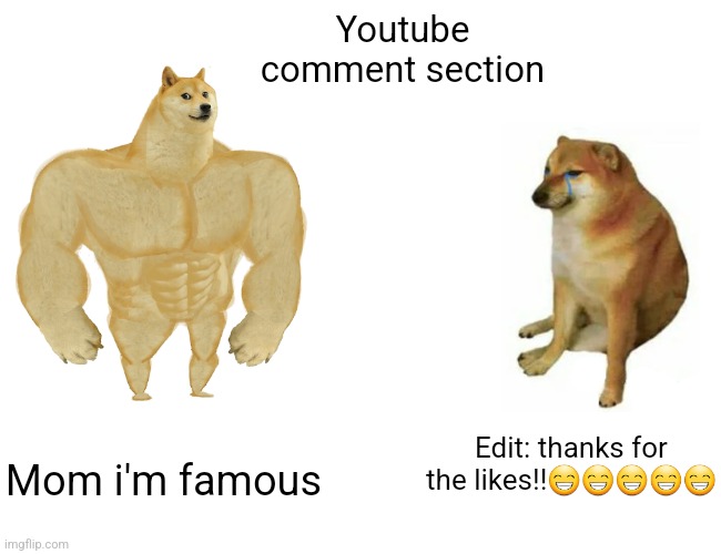 The youtube comment section is like reddit, but less smarter | Youtube comment section; Edit: thanks for the likes!!😁😁😁😁😁; Mom i'm famous | image tagged in memes,buff doge vs cheems | made w/ Imgflip meme maker