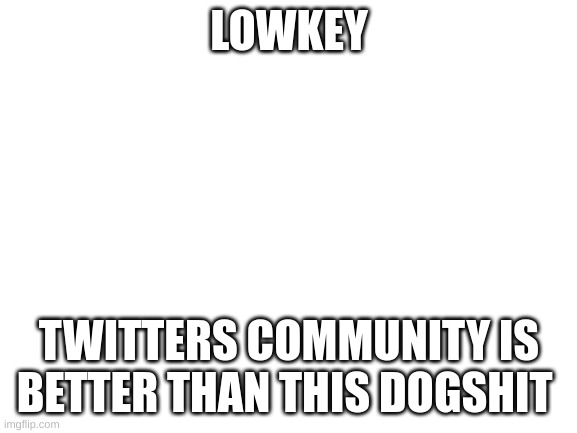 capto note: no one cares, stay mad | LOWKEY; TWITTERS COMMUNITY IS BETTER THAN THIS DOGSHIT | image tagged in blank white template | made w/ Imgflip meme maker