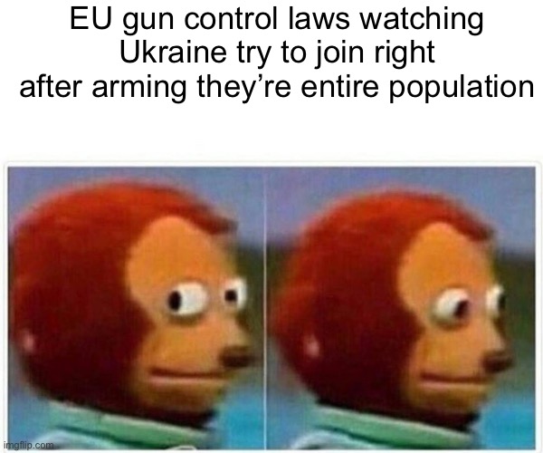 I’m go for the free gun | EU gun control laws watching Ukraine try to join right after arming they’re entire population | image tagged in memes,monkey puppet | made w/ Imgflip meme maker