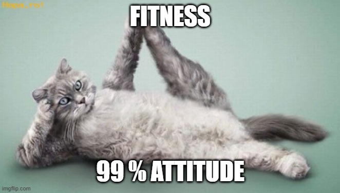 Exercising Cat | FITNESS; 99 % ATTITUDE | image tagged in exercising cat | made w/ Imgflip meme maker
