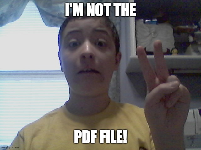 I'M NOT THE PDF FILE! | made w/ Imgflip meme maker