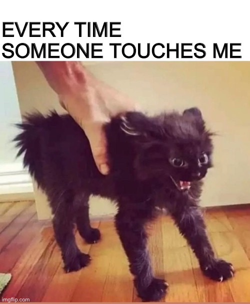 Don t Touch Imgflip