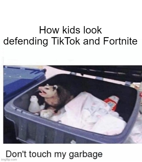 this is the truth | How kids look defending TikTok and Fortnite | image tagged in don't touch my garbage,tiktok sucks,fortnite sucks,dank memes,memes,funny memes | made w/ Imgflip meme maker
