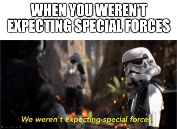 We Weren't Expecting Special Forces | WHEN YOU WEREN'T EXPECTING SPECIAL FORCES | image tagged in we weren't expecting special forces,antimeme | made w/ Imgflip meme maker