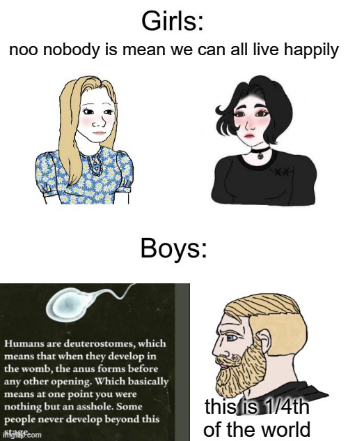how many idiots are there again? | noo nobody is mean we can all live happily; this is 1/4th of the world | image tagged in chads vs girls | made w/ Imgflip meme maker