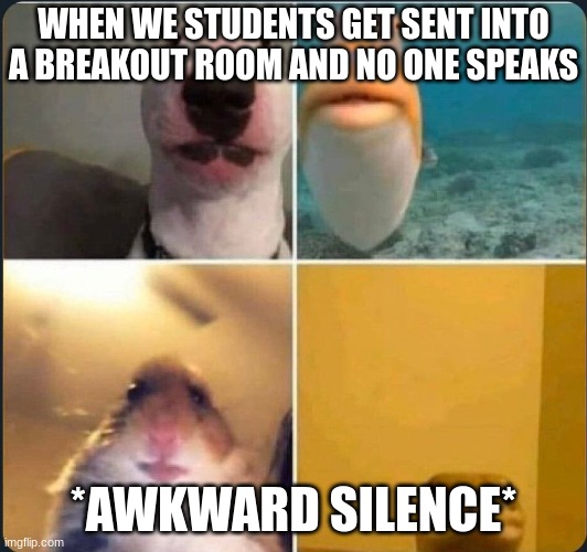 online classes | WHEN WE STUDENTS GET SENT INTO A BREAKOUT ROOM AND NO ONE SPEAKS; *AWKWARD SILENCE* | image tagged in online classes | made w/ Imgflip meme maker
