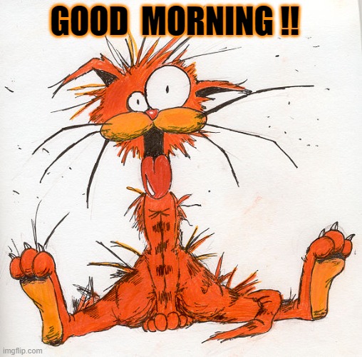 good morning !! |  GOOD  MORNING !! | image tagged in bill the cat | made w/ Imgflip meme maker