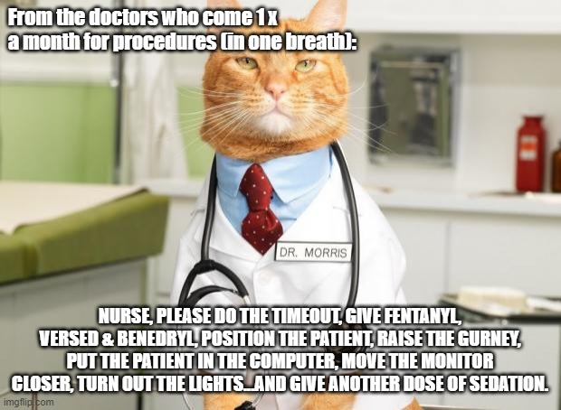 Cat Doctor | From the doctors who come 1 x a month for procedures (in one breath):; NURSE, PLEASE DO THE TIMEOUT, GIVE FENTANYL, VERSED & BENEDRYL, POSITION THE PATIENT, RAISE THE GURNEY, PUT THE PATIENT IN THE COMPUTER, MOVE THE MONITOR CLOSER, TURN OUT THE LIGHTS...AND GIVE ANOTHER DOSE OF SEDATION. | image tagged in cat doctor | made w/ Imgflip meme maker