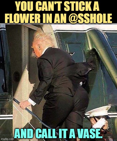 YOU CAN'T STICK A 
FLOWER IN AN @SSHOLE; AND CALL IT A VASE. | image tagged in donald trump,flower,jerk | made w/ Imgflip meme maker