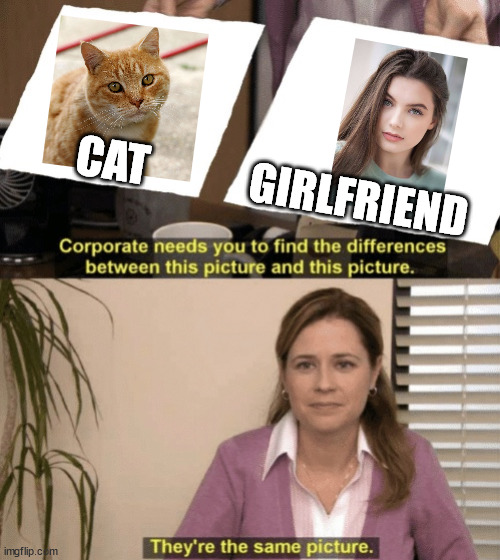 Corporate needs you to find the differences | CAT; GIRLFRIEND | image tagged in corporate needs you to find the differences | made w/ Imgflip meme maker