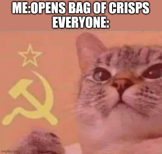 Communist cat | ME:OPENS BAG OF CRISPS
EVERYONE: | image tagged in communist cat | made w/ Imgflip meme maker