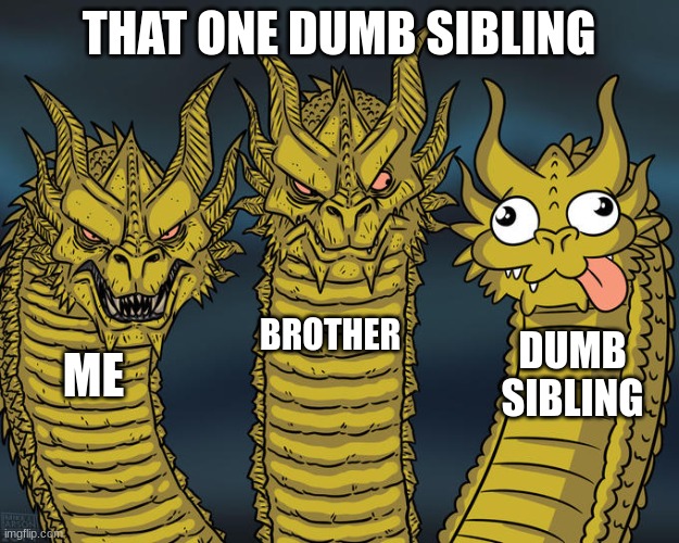 dumb sibling | THAT ONE DUMB SIBLING; BROTHER; DUMB SIBLING; ME | image tagged in three-headed dragon | made w/ Imgflip meme maker