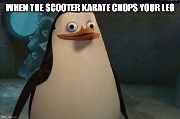 Madagascar penguin | WHEN THE SCOOTER KARATE CHOPS YOUR LEG | image tagged in madagascar penguin | made w/ Imgflip meme maker