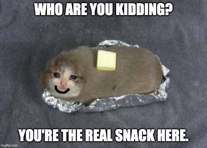 WHO ARE YOU KIDDING? YOU'RE THE REAL SNACK HERE. | image tagged in cat | made w/ Imgflip meme maker