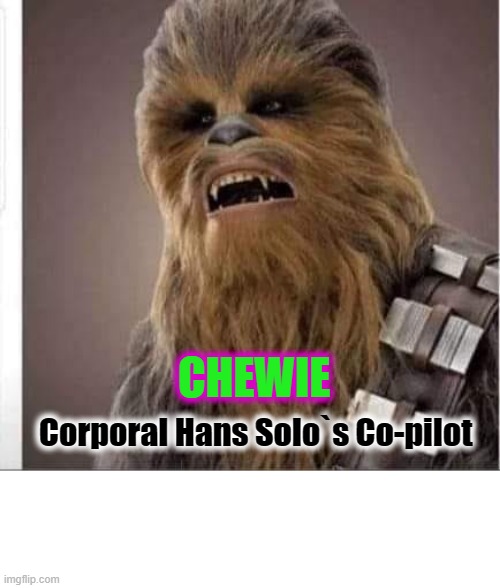 Chewie | CHEWIE; Corporal Hans Solo`s Co-pilot | image tagged in pilot | made w/ Imgflip meme maker