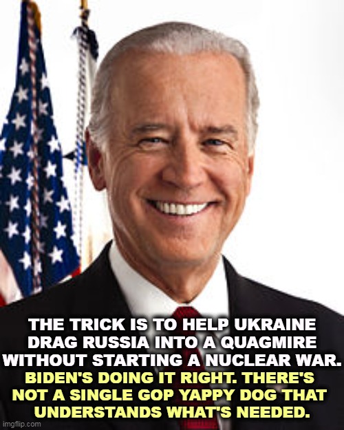 Our Commander-in-Chief. | THE TRICK IS TO HELP UKRAINE DRAG RUSSIA INTO A QUAGMIRE WITHOUT STARTING A NUCLEAR WAR. BIDEN'S DOING IT RIGHT. THERE'S 
NOT A SINGLE GOP YAPPY DOG THAT 
UNDERSTANDS WHAT'S NEEDED. | image tagged in memes,joe biden,stop,nuclear war,ukraine | made w/ Imgflip meme maker