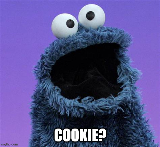 cookie monster | COOKIE? | image tagged in cookie monster | made w/ Imgflip meme maker