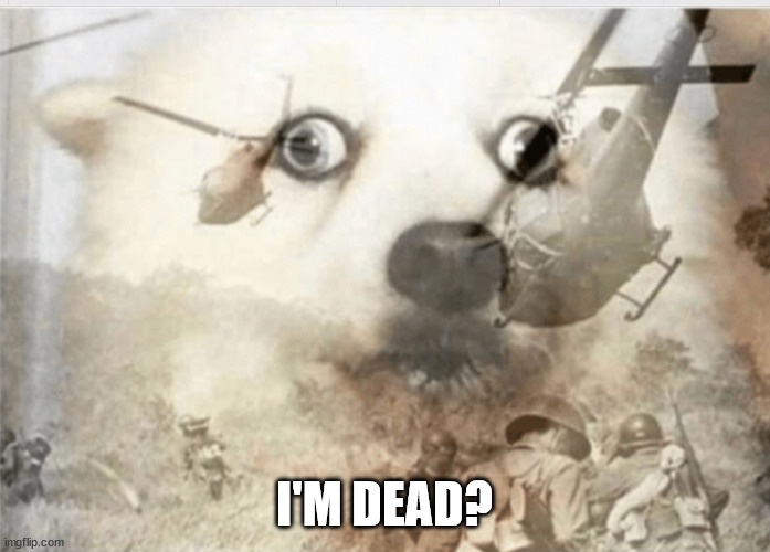 PTSD dog | I'M DEAD? | image tagged in ptsd dog | made w/ Imgflip meme maker