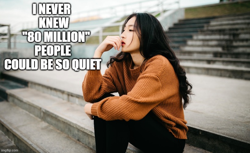 the more I look, the less I find | I NEVER      KNEW       "80 MILLION" PEOPLE COULD BE SO QUIET | image tagged in joe biden,voters,invisible,political meme,truth,where are they now | made w/ Imgflip meme maker