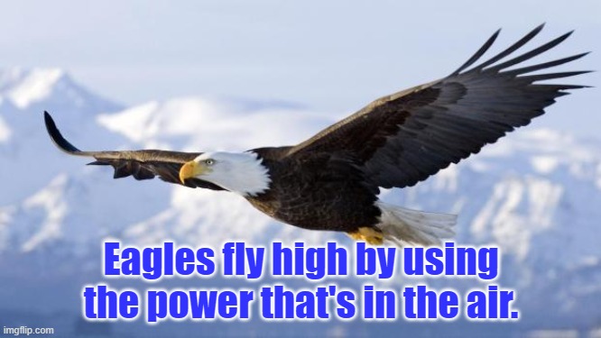 eagle | Eagles fly high by using the power that's in the air. | image tagged in eagle | made w/ Imgflip meme maker