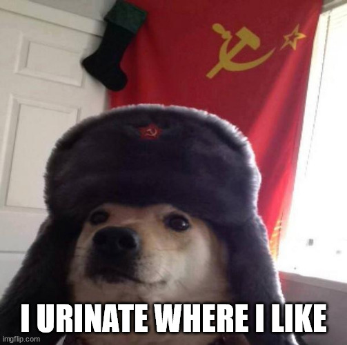 Russian Doge | I URINATE WHERE I LIKE | image tagged in russian doge | made w/ Imgflip meme maker
