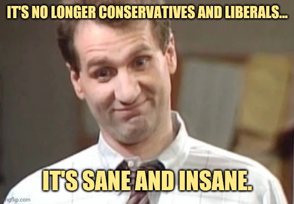 Ain't that the truth. | IT'S NO LONGER CONSERVATIVES AND LIBERALS... IT'S SANE AND INSANE. | image tagged in memes | made w/ Imgflip meme maker