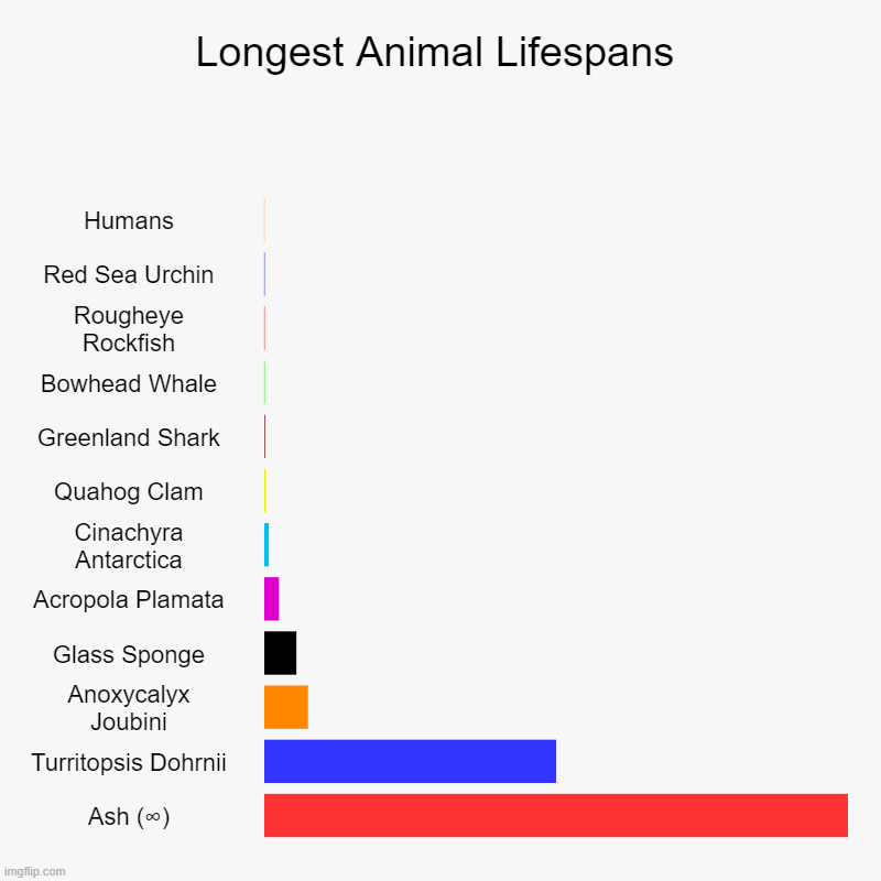 Longest Animal Lifespans | Longest Animal Lifespans | Humans, Red Sea Urchin, Rougheye Rockfish, Bowhead Whale, Greenland Shark, Quahog Clam, Cinachyra Antarctica, Acr | image tagged in charts,bar charts,pokemon,ash ketchum,memes,why are you reading this | made w/ Imgflip chart maker