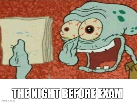 Everyone the night before exam | THE NIGHT BEFORE EXAM | image tagged in lol,spongebob,exams,school | made w/ Imgflip meme maker